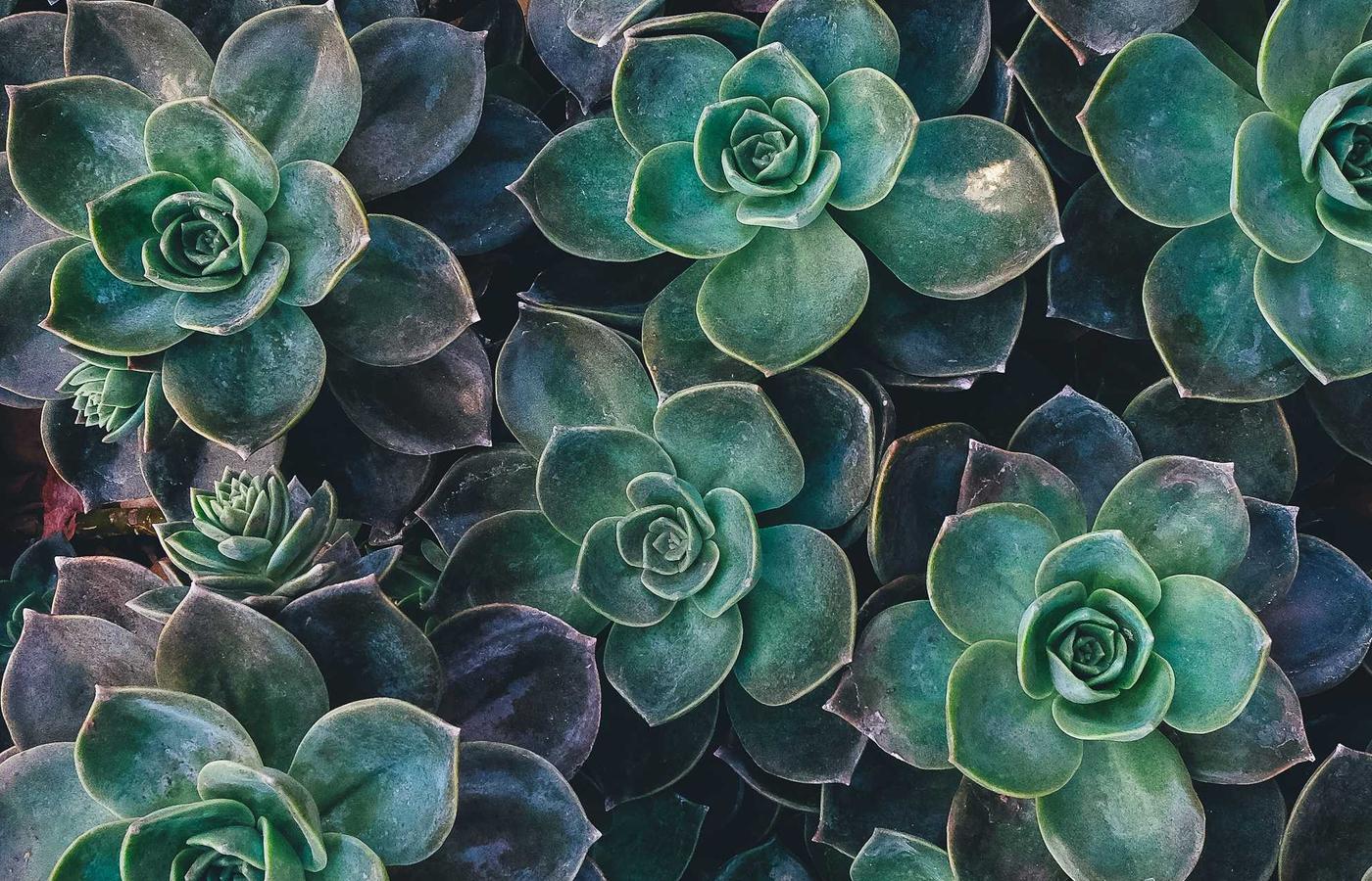 Сияющая чистотой раковина из нержавеющей стали