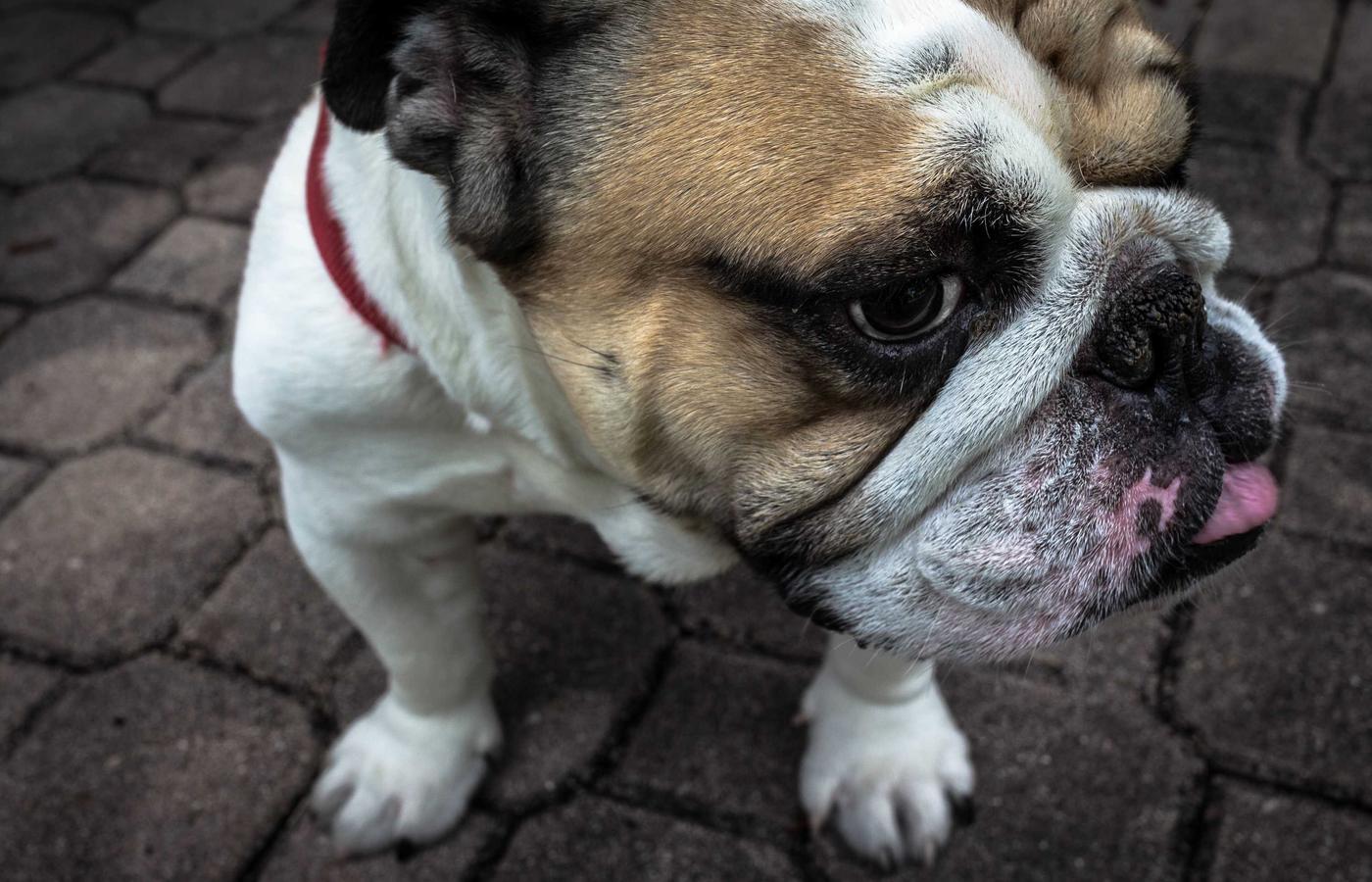 Светлая и просторная спальня с аккуратно заправленной кроватью